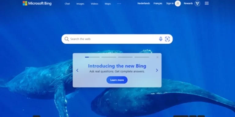 A responsive image with rounded corners